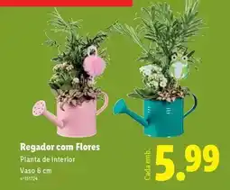 Lidl com - regador com flores promoção