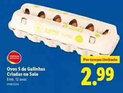 Lidl Portugal - ovos s de galinhas criadas no solo promoção