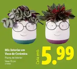 Lidl Mix - interior em vaso de cerámica promoção