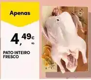 Continente Bom dia Pato - inteiro fresco promoção