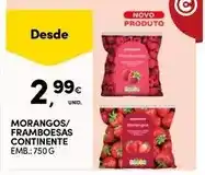 Continente Bom dia Continente - morangos/fromboesas promoção