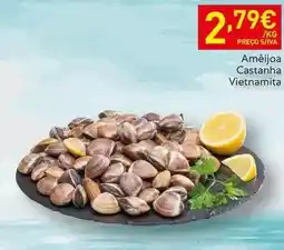 Recheio Ameijoa castanha vietnamita promoção