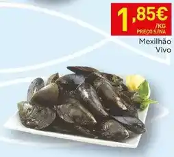 Recheio Mexilhão vivo promoção