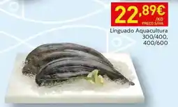 Recheio Aquacultura - linguado promoção