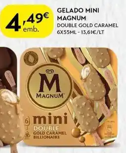 Gelado mini magnum