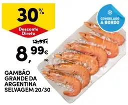 Continente Gambão grande da argentina selvagem 20/30 promoção