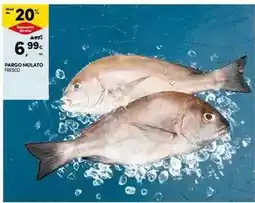 Continente Pago mulato fresco promoção