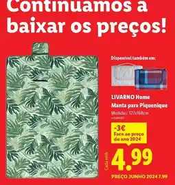 Lidl A+ - manta para piquenique promoção