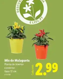 Lidl Mix - de malagueta promoção