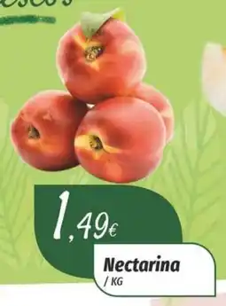 Nectarina