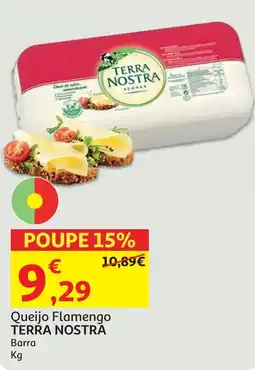 Minipreço Queijo Flamengo TERRA NOSTRA promoção