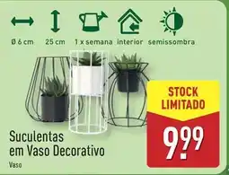 ALDI Suculentas em vaso decorativo promoção