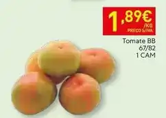 Recheio Cam - tomate bbb 67/82 1 cam promoção