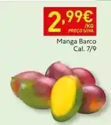 Recheio Manga barco promoção
