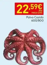 Recheio Polvo cozido promoção