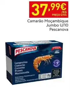 Recheio Pescanova - camarão moçambique jumbo u/10 promoção