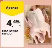 Continente Bom dia Pato - inteiro fresco promoção