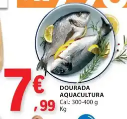 E.Leclerc Dourada aquacultura promoção