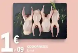 E.Leclerc Codornizes promoção