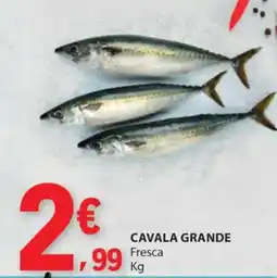 E.Leclerc Cavala grande fresca promoção