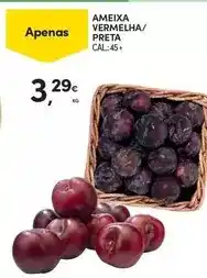 Continente Ameixa vermelha/preta promoção