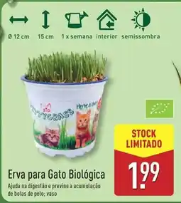 ALDI A+ - erva para gato biologica promoção