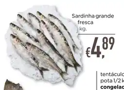 Bolama Sardinha grande fresca promoção
