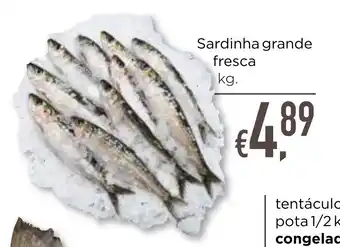 Bolama Sardinha grande fresca promoção