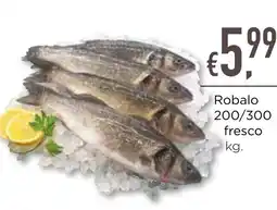 Bolama Robalo 200/300 fresco promoção