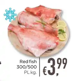 Bolama Red fish 300/500 PL promoção