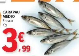 E.Leclerc Carapau médio fresco promoção