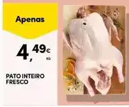 Continente Pato - inteiro fresco promoção