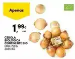 Continente Continente bio - cebola biologica promoção