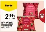 Continente Continente - morangos/frambões promoção