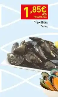 Recheio Mexilhão vivo promoção