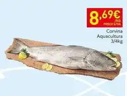 Recheio Aquacultura - corvina promoção
