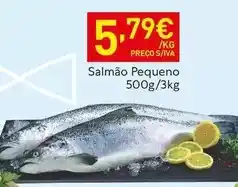 Recheio Salmão pequeno promoção