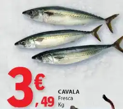 E.Leclerc Cavala fresca promoção