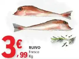 E.Leclerc Ruivo fresco promoção