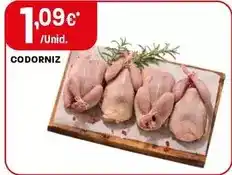 Intermarché Codorniz promoção
