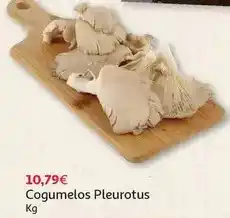 Auchan Cogumelos pleurotus promoção
