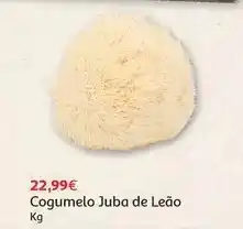 Auchan Cogumelo juba de leão promoção