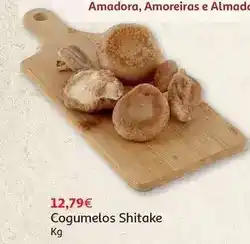 Auchan Cogumelos shitake promoção