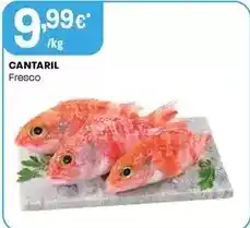 Intermarché Cantaril fresco promoção