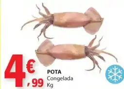E.Leclerc Pota congelada promoção