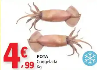 E.Leclerc Pota congelada promoção