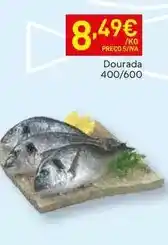 Recheio Serra dourada - dourada promoção