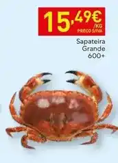 Recheio Sapateira grande promoção