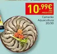 Recheio Aquacultura - camarão 20/30 promoção