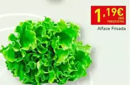 Recheio Alface frisada promoção